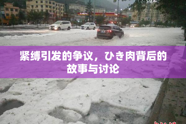 紧缚引发的争议，ひき肉背后的故事与讨论