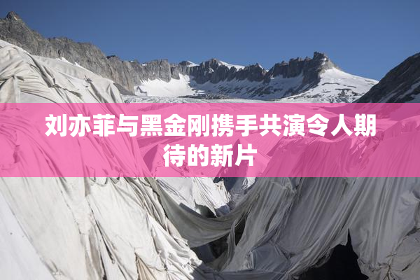 刘亦菲与黑金刚携手共演令人期待的新片