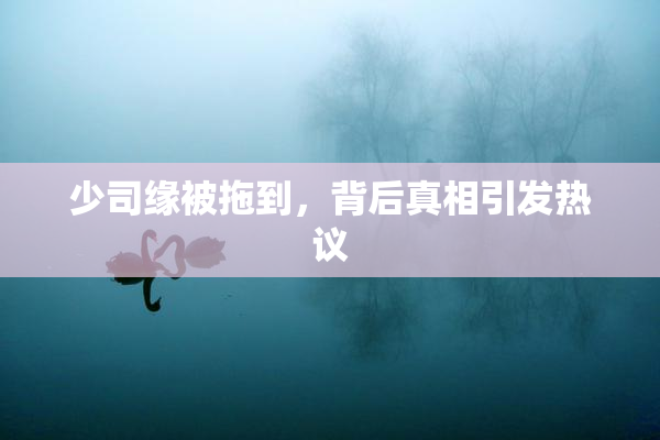 少司缘被拖到，背后真相引发热议