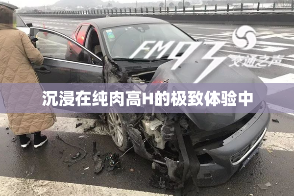 沉浸在纯肉高H的极致体验中