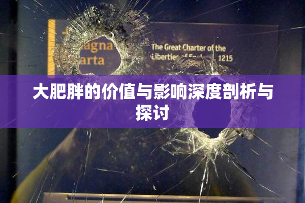 大肥胖的价值与影响深度剖析与探讨