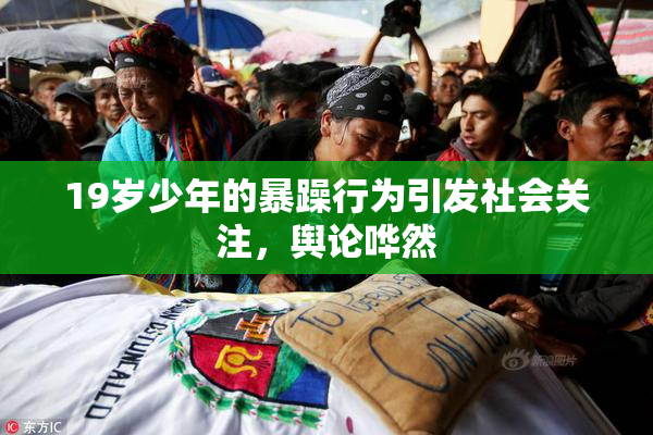 19岁少年的暴躁行为引发社会关注，舆论哗然