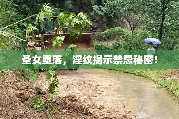 圣女堕落，淫纹揭示禁忌秘密！