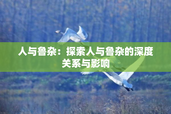 人与鲁杂：探索人与鲁杂的深度关系与影响