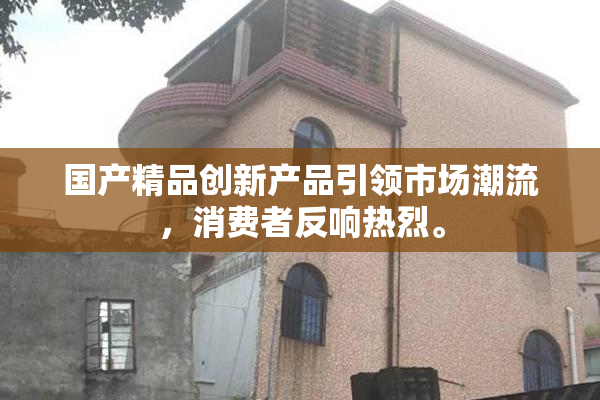国产精品创新产品引领市场潮流，消费者反响热烈。