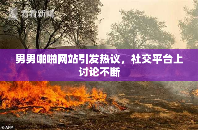 男男啪啪网站引发热议，社交平台上讨论不断