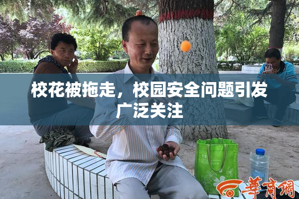 校花被拖走，校园安全问题引发广泛关注