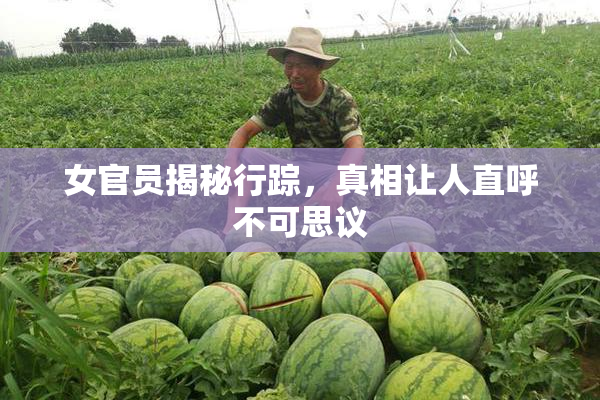 女官员揭秘行踪，真相让人直呼不可思议