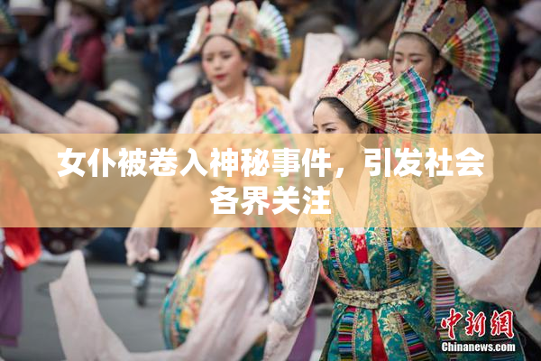 女仆被卷入神秘事件，引发社会各界关注