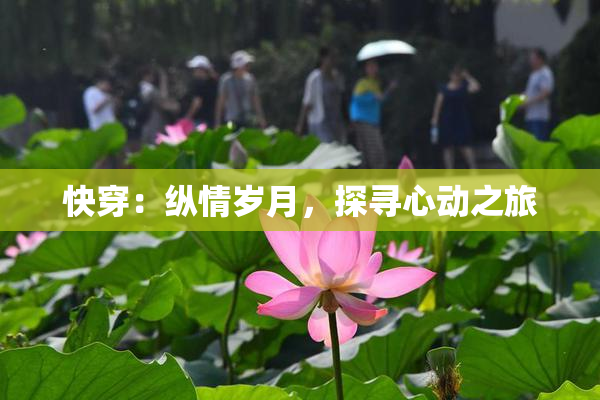 快穿：纵情岁月，探寻心动之旅