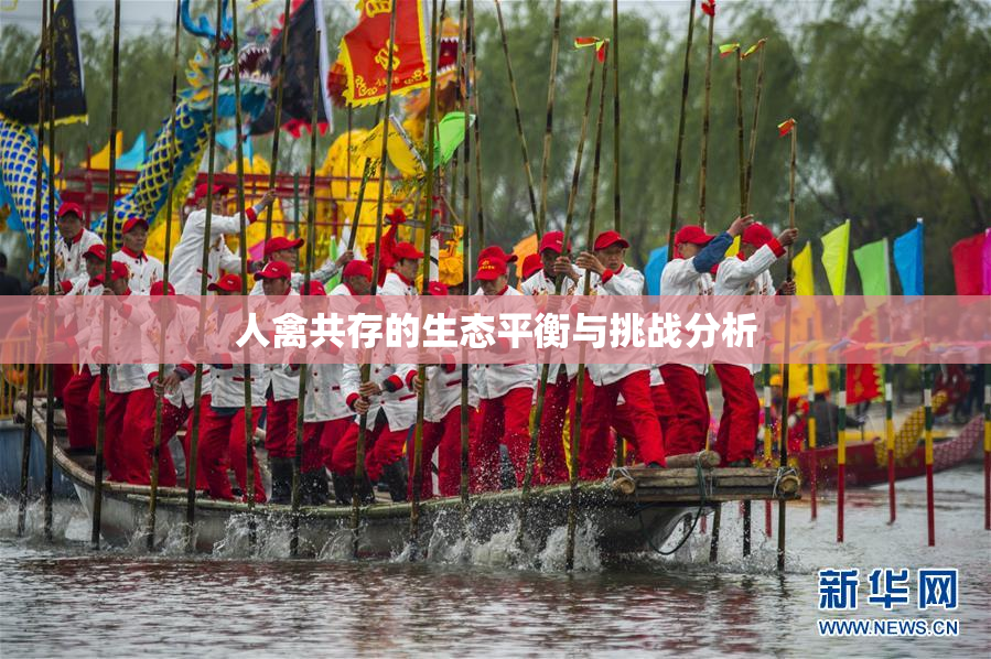 人禽共存的生态平衡与挑战分析