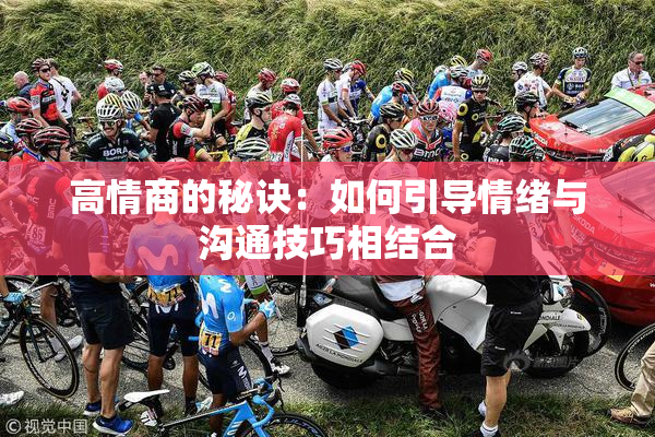 高情商的秘诀：如何引导情绪与沟通技巧相结合