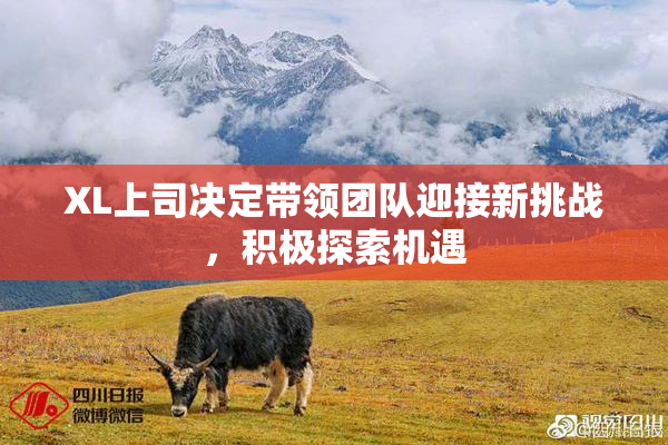 XL上司决定带领团队迎接新挑战，积极探索机遇