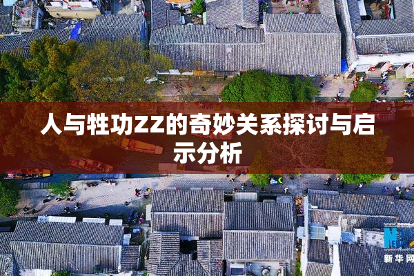 人与牲功ZZ的奇妙关系探讨与启示分析