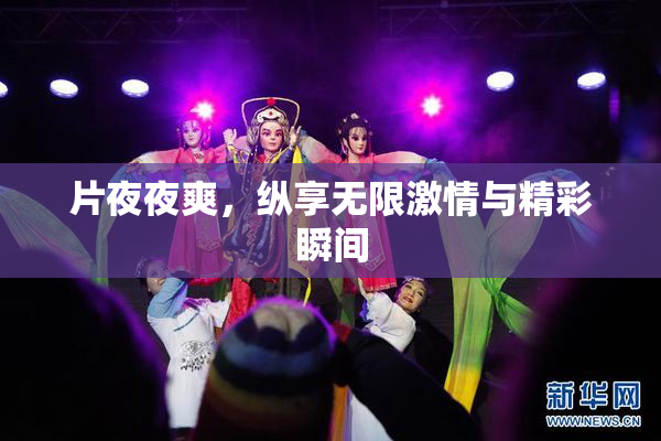 片夜夜爽，纵享无限激情与精彩瞬间