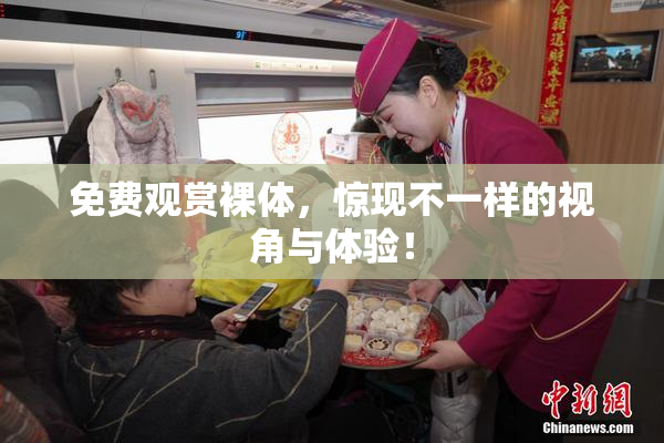 免费观赏裸体，惊现不一样的视角与体验！