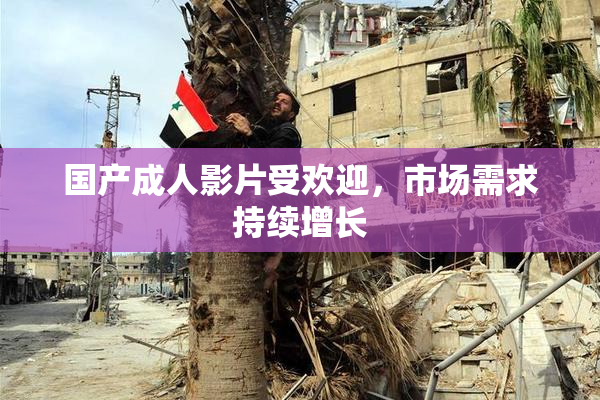 国产成人影片受欢迎，市场需求持续增长