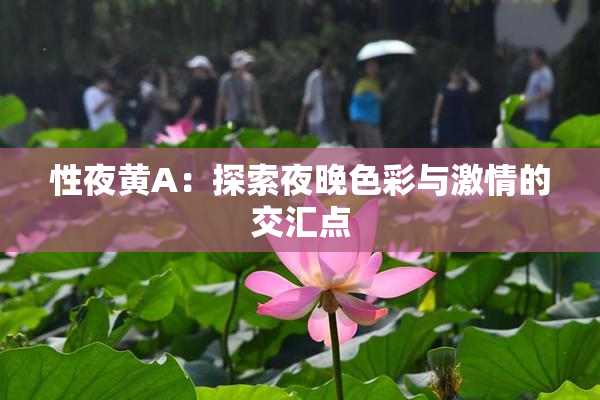 性夜黄A：探索夜晚色彩与激情的交汇点