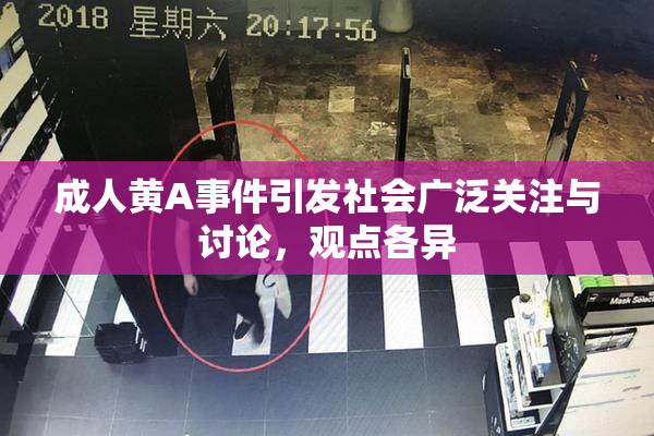 成人黄A事件引发社会广泛关注与讨论，观点各异