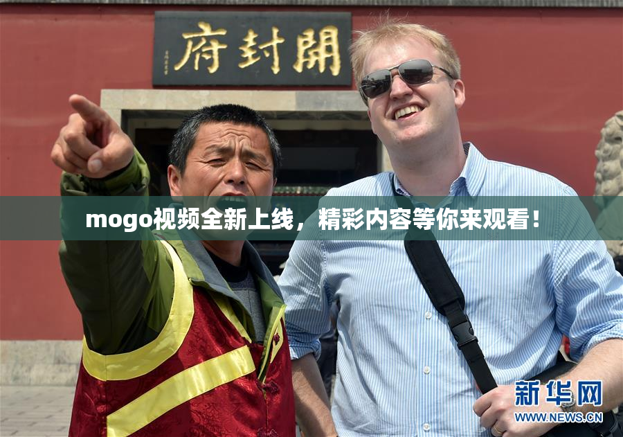 mogo视频全新上线，精彩内容等你来观看！