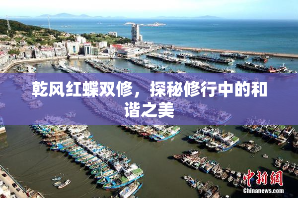 乾风红蝶双修，探秘修行中的和谐之美