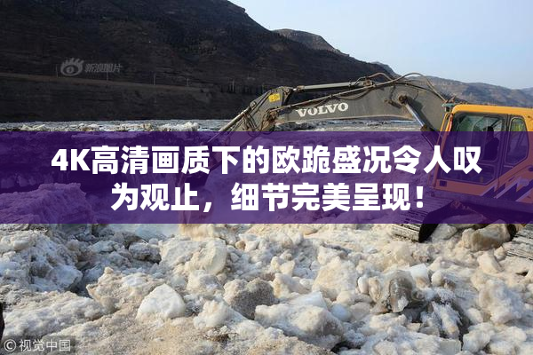 4K高清画质下的欧跪盛况令人叹为观止，细节完美呈现！