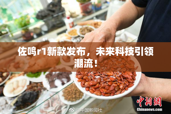 佐鸣r1新款发布，未来科技引领潮流！
