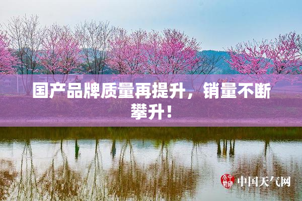国产品牌质量再提升，销量不断攀升！