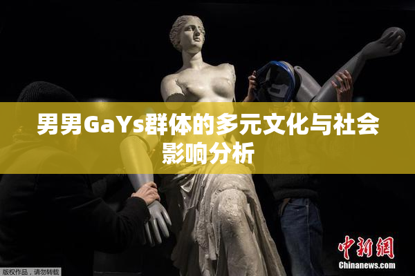 男男GaYs群体的多元文化与社会影响分析