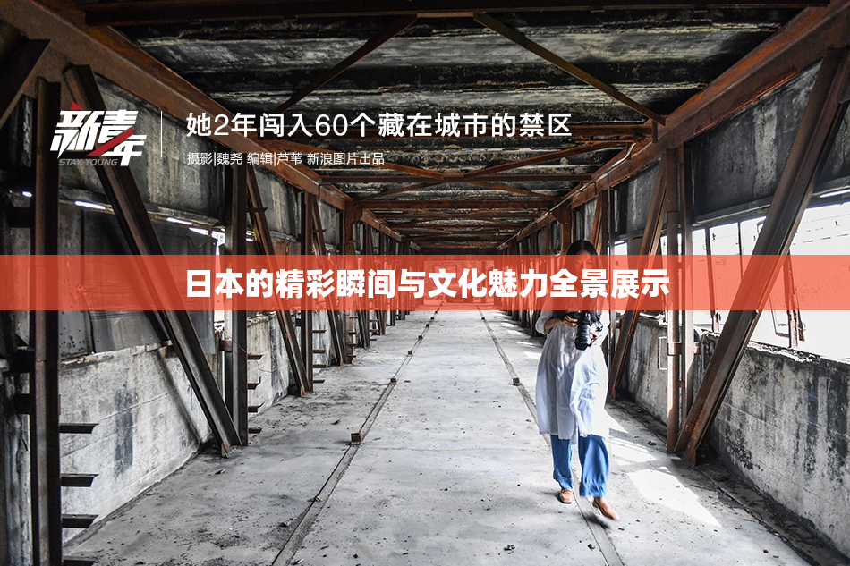 日本的精彩瞬间与文化魅力全景展示
