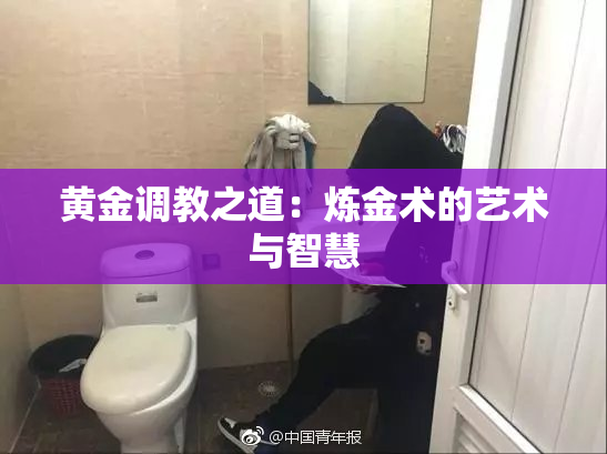 黄金调教之道：炼金术的艺术与智慧