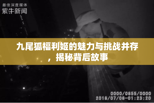 九尾狐福利姬的魅力与挑战并存，揭秘背后故事