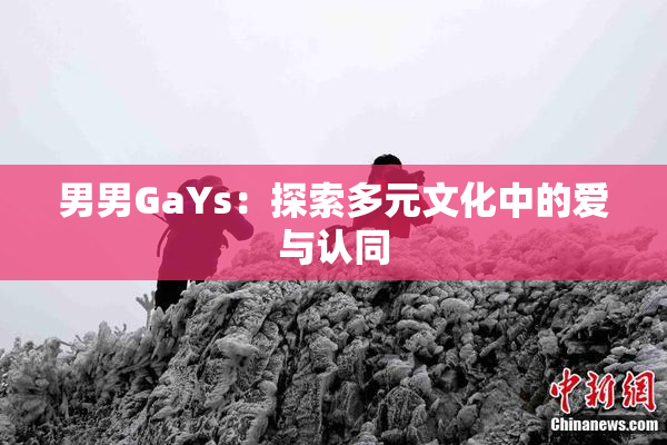 男男GaYs：探索多元文化中的爱与认同