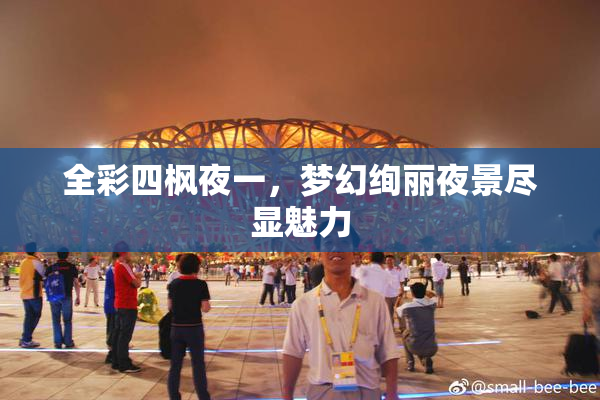 全彩四枫夜一，梦幻绚丽夜景尽显魅力