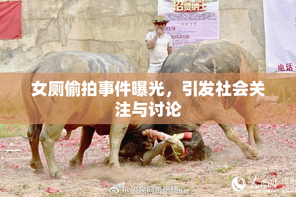 女厕偷拍事件曝光，引发社会关注与讨论
