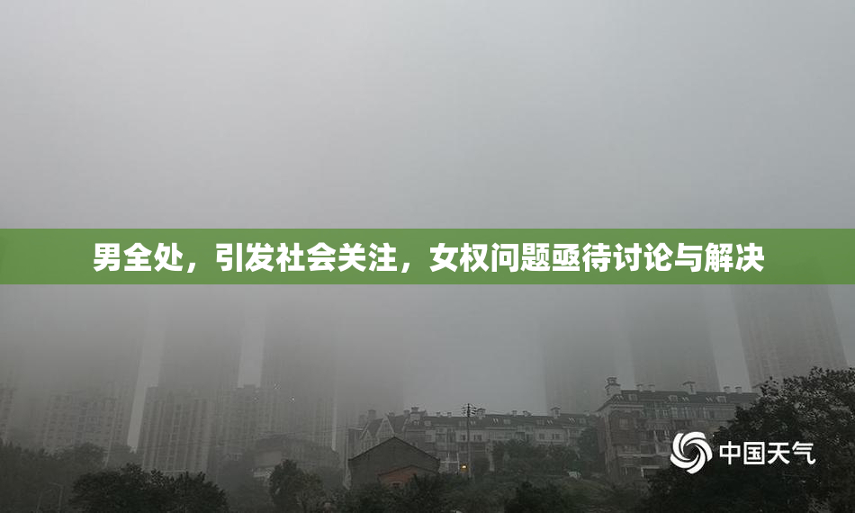 男全处，引发社会关注，女权问题亟待讨论与解决