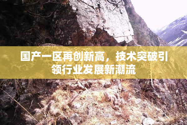 国产一区再创新高，技术突破引领行业发展新潮流