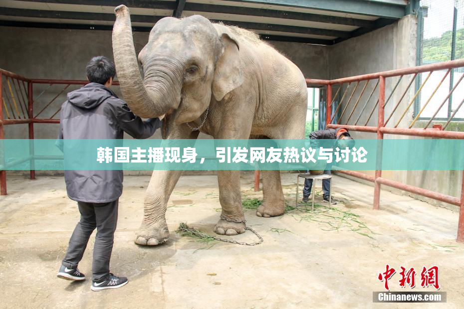 韩国主播现身，引发网友热议与讨论