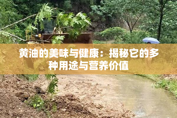 黄油的美味与健康：揭秘它的多种用途与营养价值