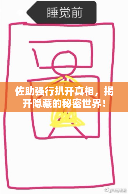 佐助强行扒开真相，揭开隐藏的秘密世界！
