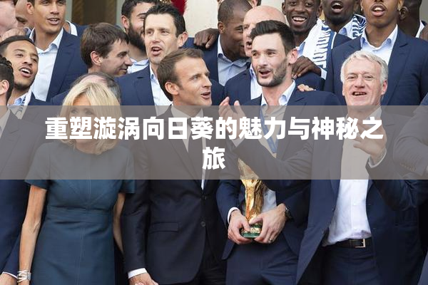 重塑漩涡向日葵的魅力与神秘之旅