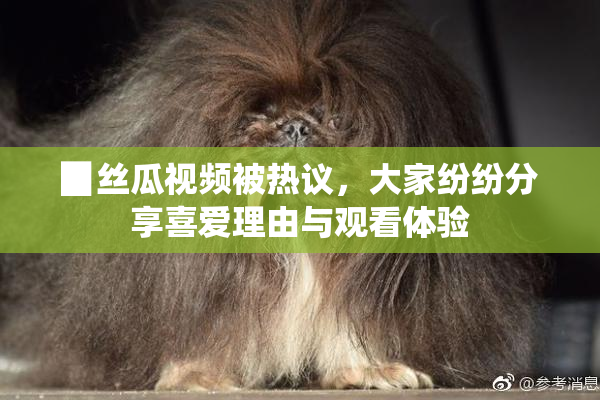 ▉丝瓜视频被热议，大家纷纷分享喜爱理由与观看体验