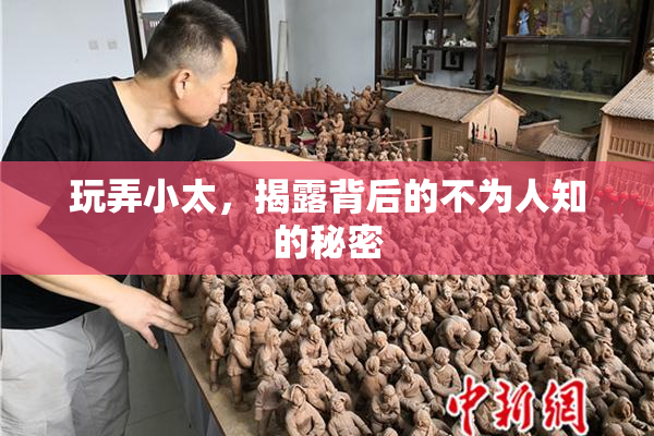 玩弄小太，揭露背后的不为人知的秘密