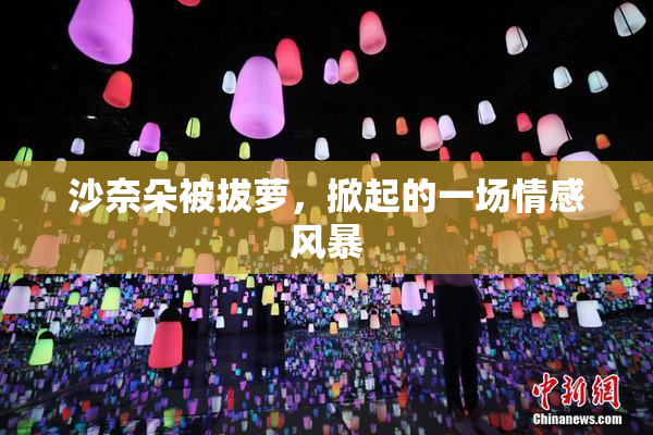 沙奈朵被拔萝，掀起的一场情感风暴