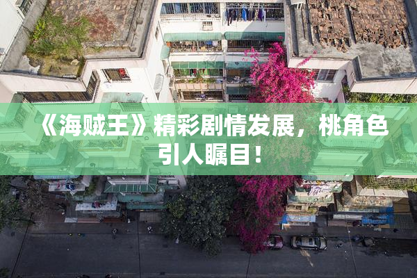 《海贼王》精彩剧情发展，桃角色引人瞩目！