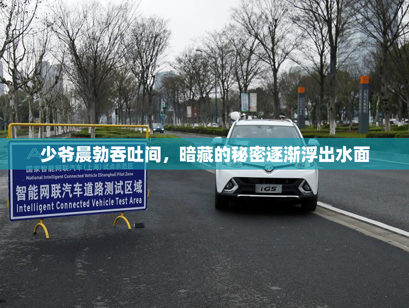 少爷晨勃吞吐间，暗藏的秘密逐渐浮出水面