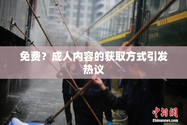 免费？成人内容的获取方式引发热议