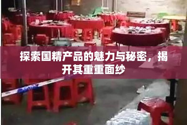 探索国精产品的魅力与秘密，揭开其重重面纱