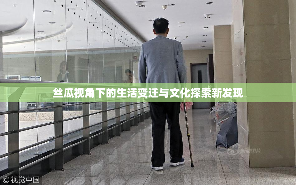 丝瓜视角下的生活变迁与文化探索新发现