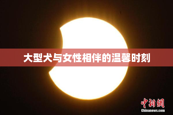 大型犬与女性相伴的温馨时刻